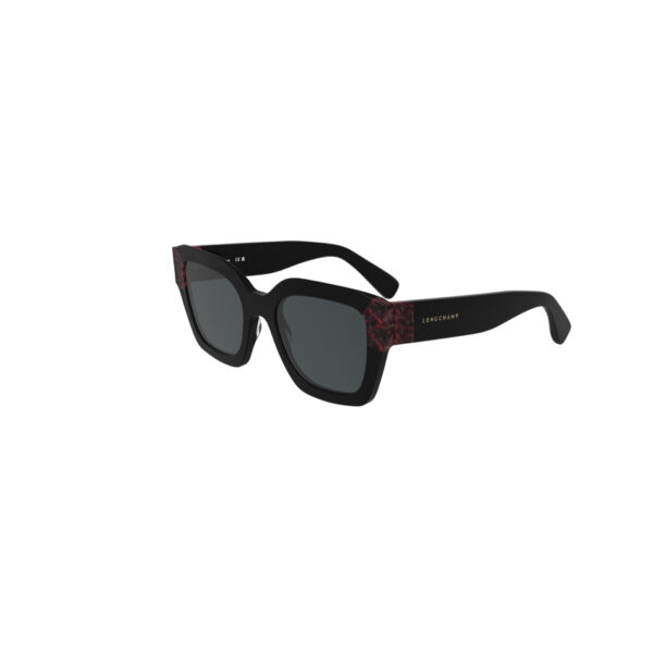 LENTES - Imagen 2