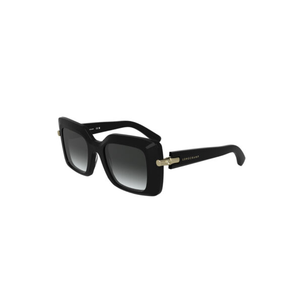 LENTES - Imagen 2